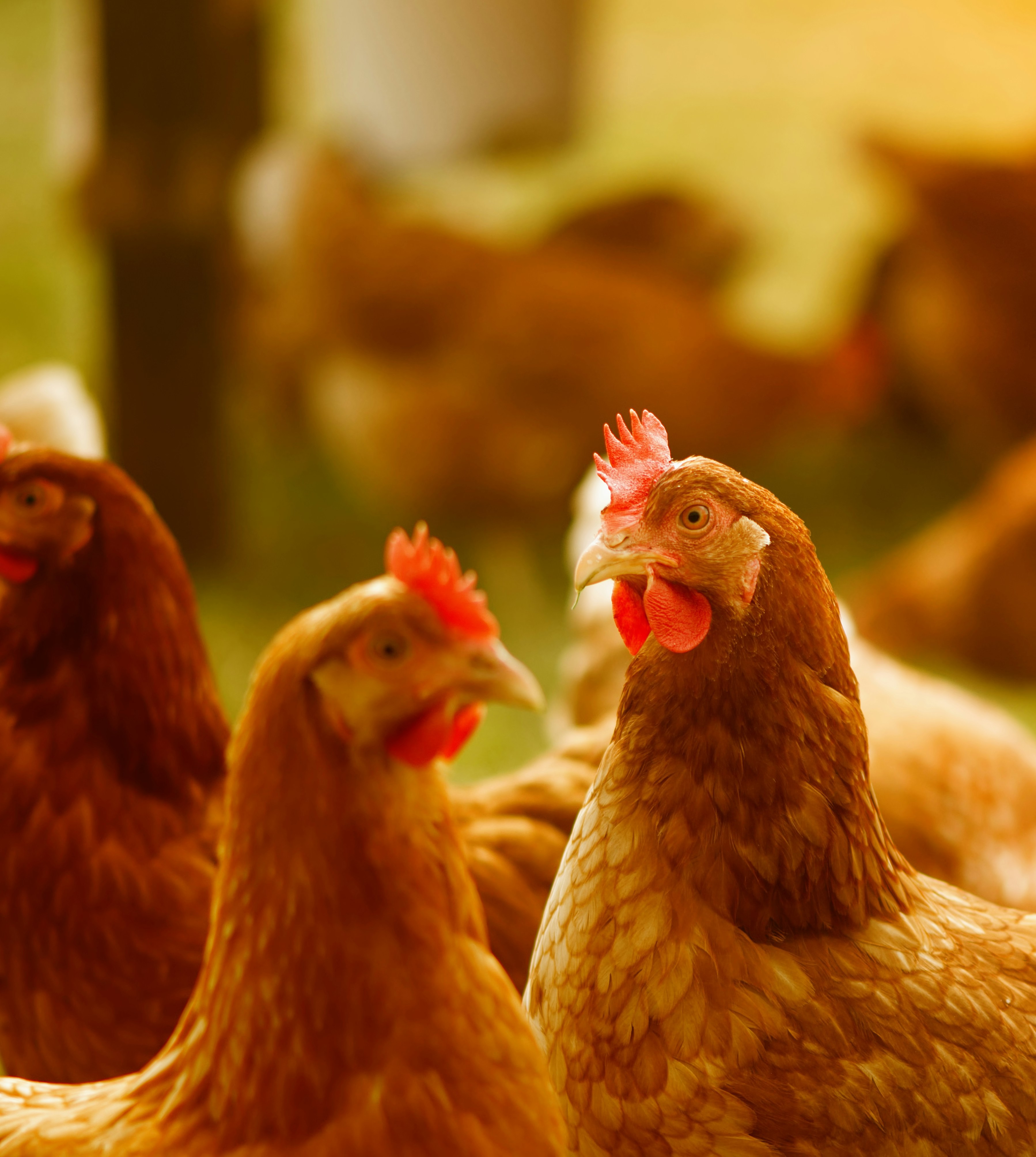 Le Bloc doit soutenir tous les agriculteurs